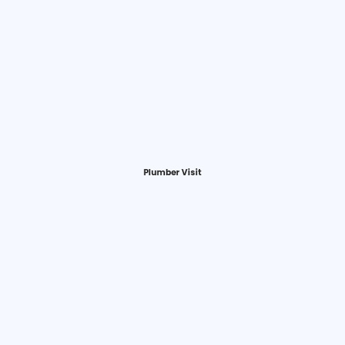Plumber Visit